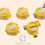 جعبه تقسیم ضدانفجار مدل BHD51